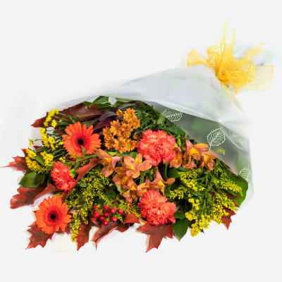 Autumn Gift Product Image